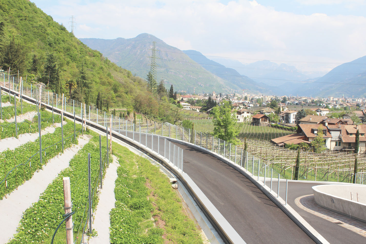 Verrassend lekker en goed gemaakt: de wijnen van Zuid-Tirol