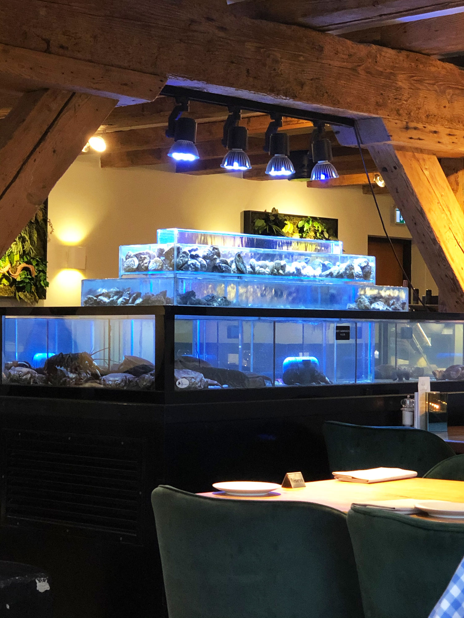 Heerlijk visrestaurant aan de haven: 't Pakhuus in Oudeschild
