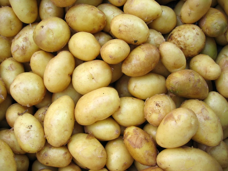 Hoe ongezond is de aardappel nu echt?