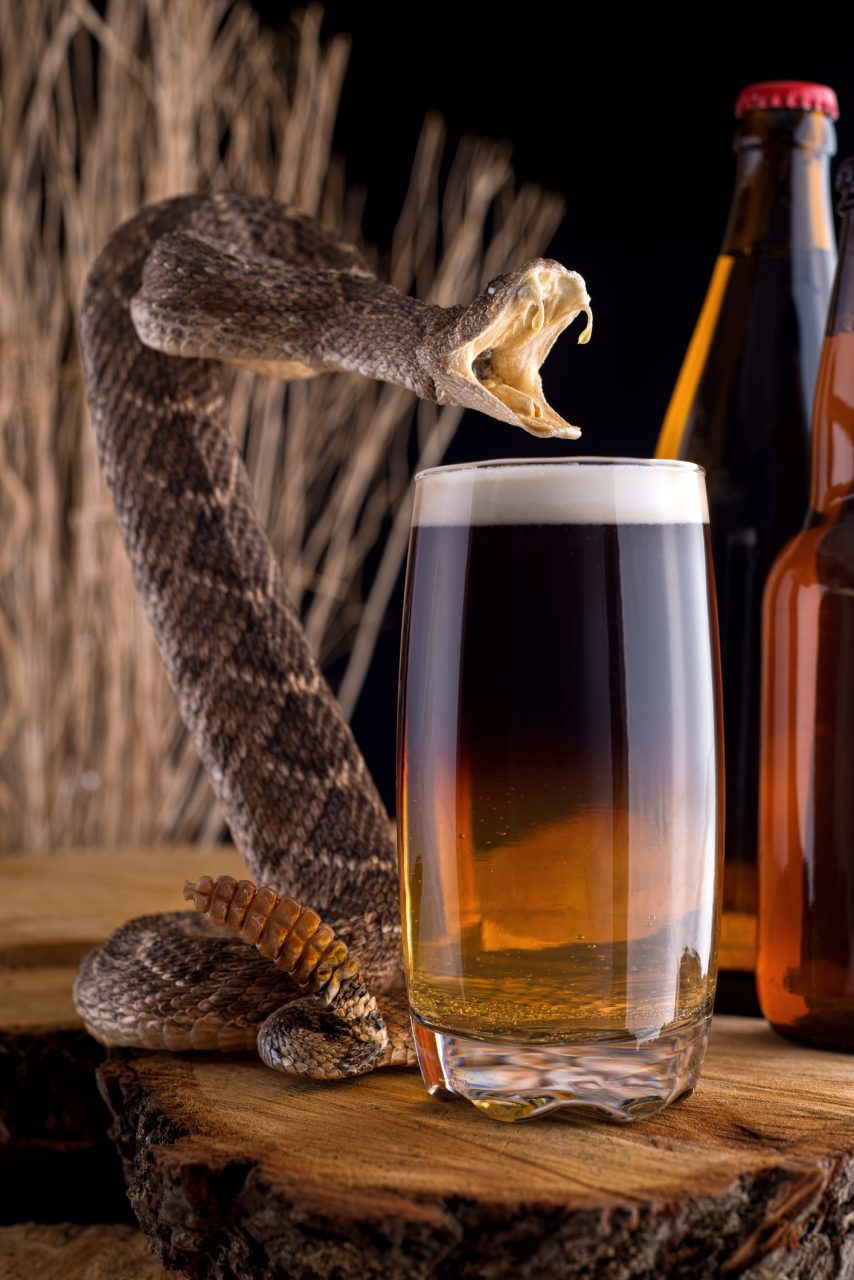 Snakebite Cocktail